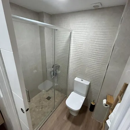 Pintor Espinosa 3 Loft *