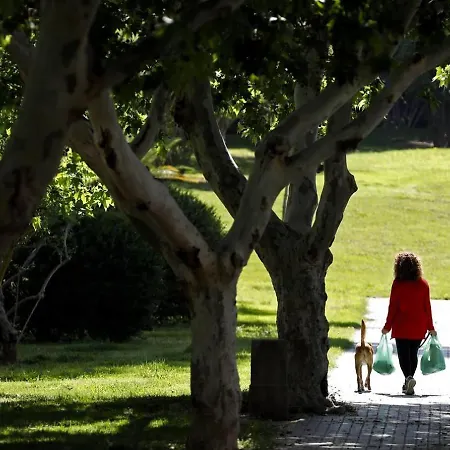 Apartment Pintor Espinosa 3 Loft