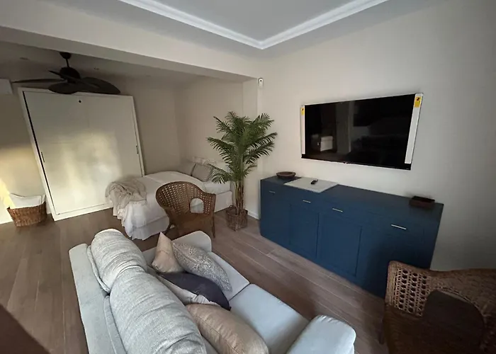 Pintor Espinosa 3 Loft Apartment